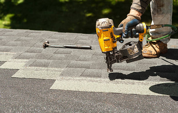 Best Roof Gutter Cleaning  in Hurley, MS
