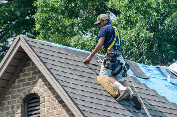Best Flat Roof Repair Services  in Hurley, MS