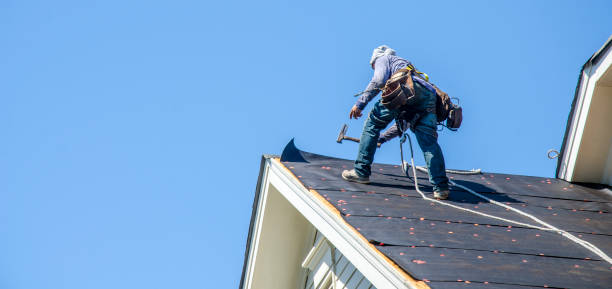 Best Residential Roof Replacement  in Hurley, MS